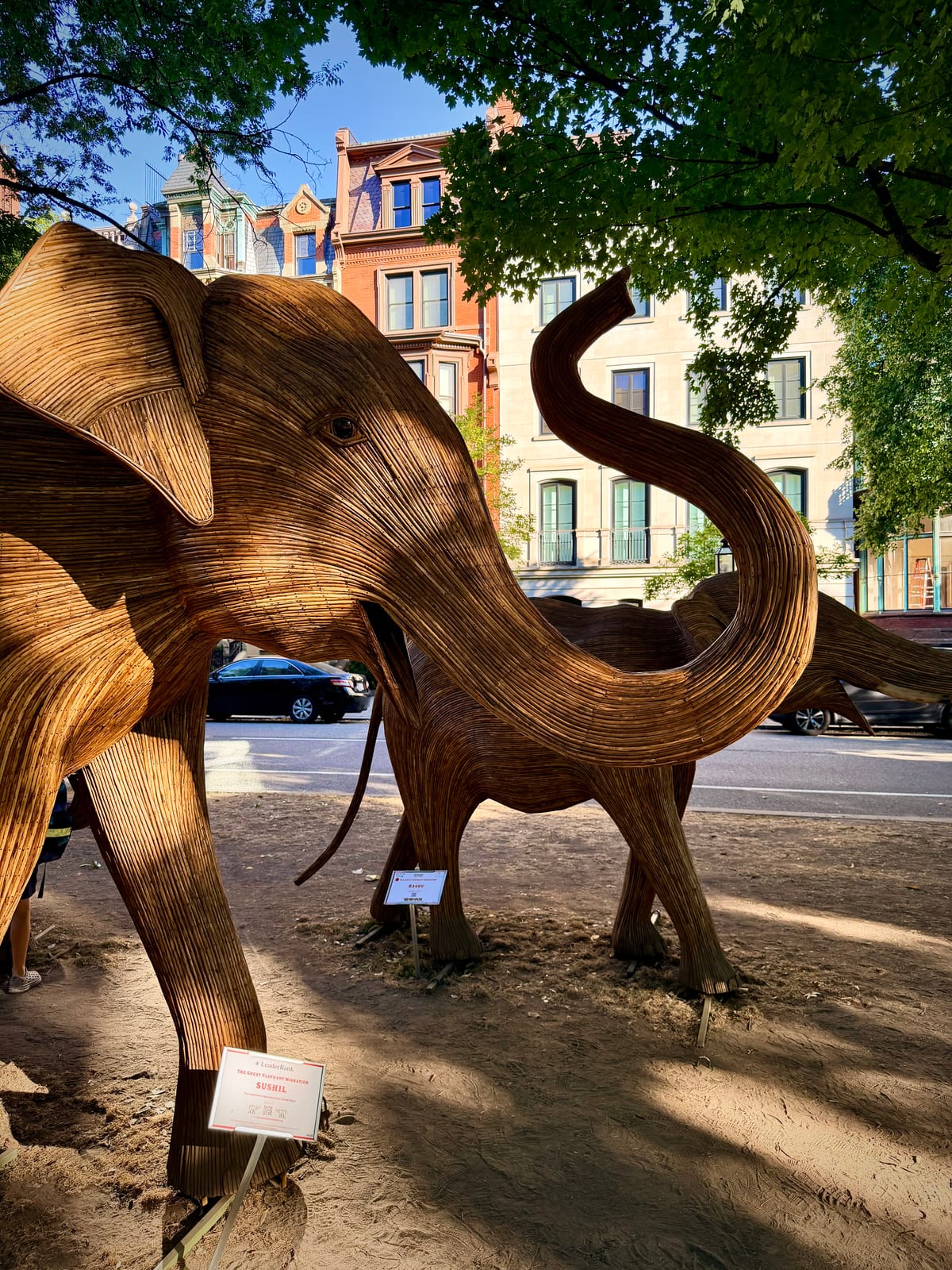 A large woven elephant sculpture and a smaller elephant standing beneath trees along Commonwealth Avenue Mall